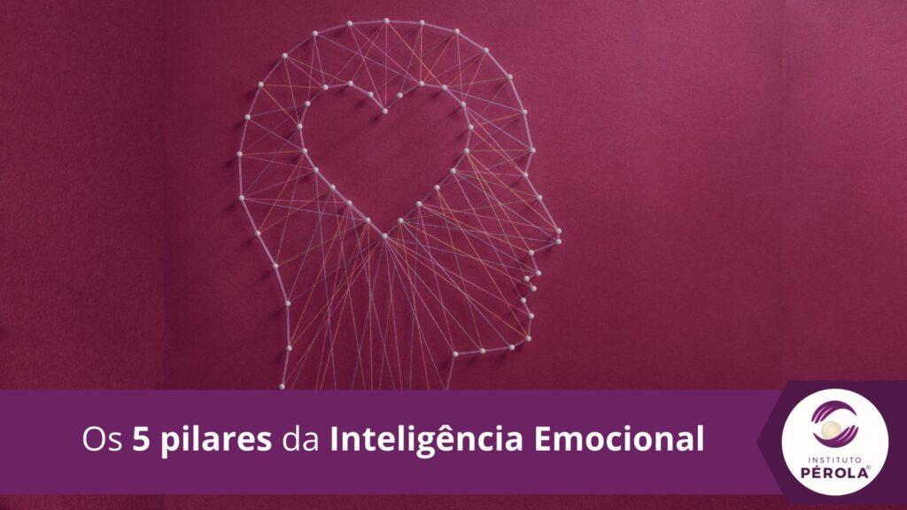 pilares da inteligencia emocional